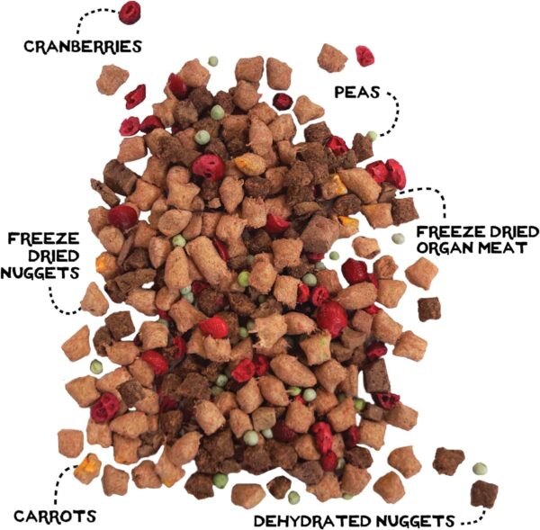 The Freeze Dried Raw Dog Food Topper Featuring Only 16 Organic Human Grade Ingredients [3 Pack Variety - 1oz Samples] - Image 5