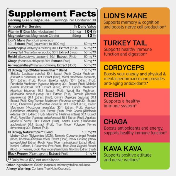 IQ BIOLOGY Mushroom Supplement Lions Mane Kava Kava Rhodiola Rosea Vitamin B12 Turkey Tail Reishi - Nootropic Mushroom Complex Ashwagandha Magnesium Citrate Turmeric Panax Ginseng Inositol - 60 Caps - Image 3